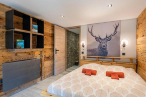 Appartement chaleureux, massif des Aravis